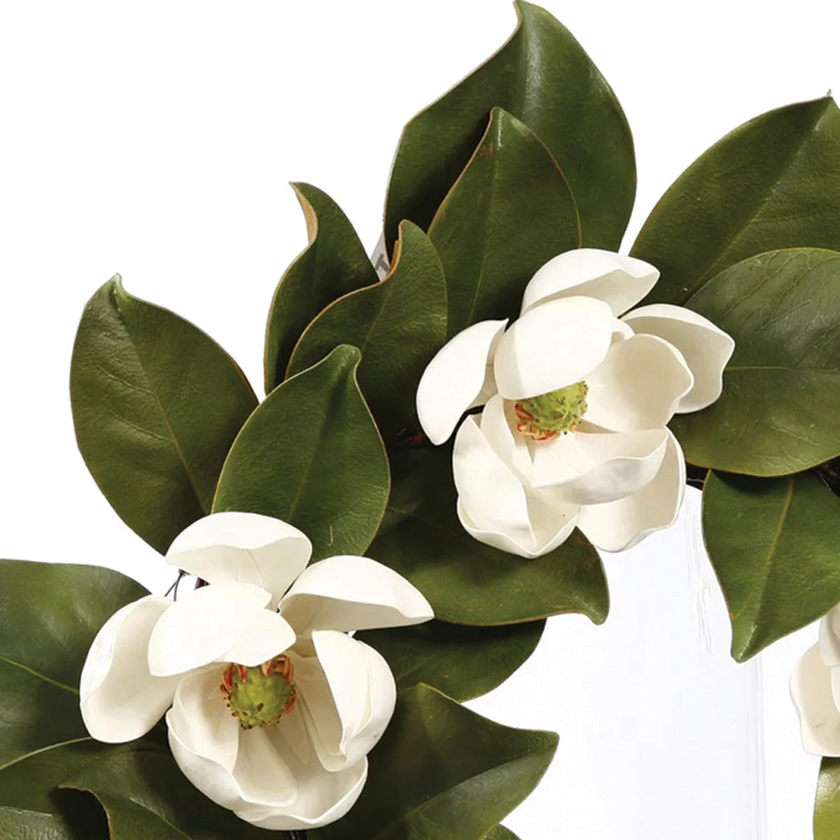 White Magnolia Wreath 16"
