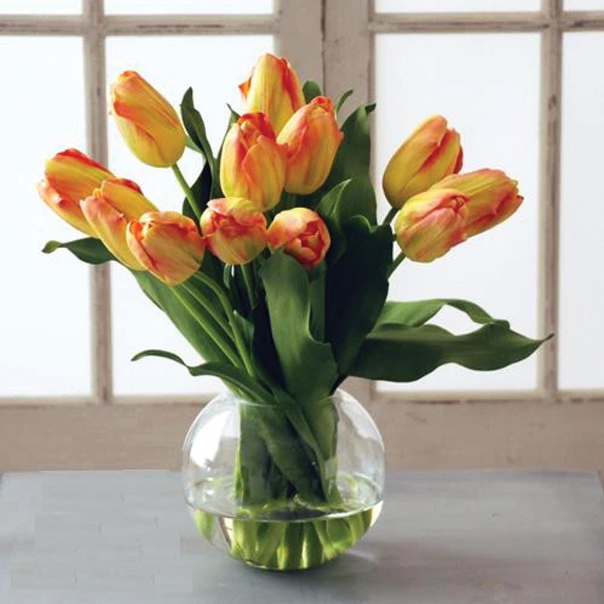 Yellow and Orange Tulips in Bubble Bowl