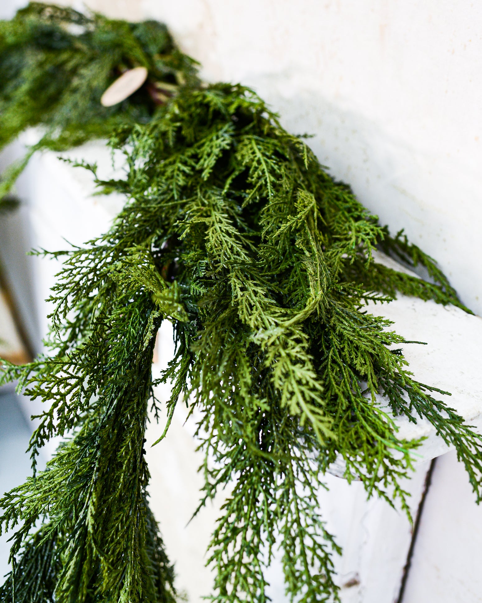 8 ft. Oversized Cedar Swag