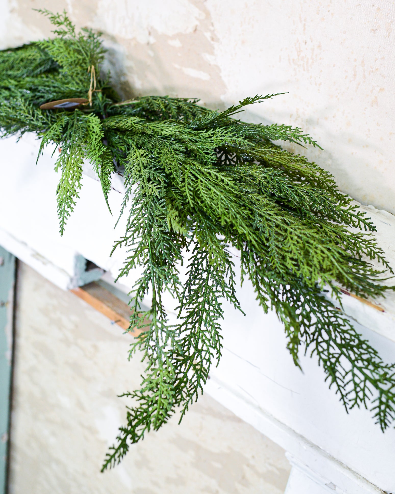 5 ft. Cedar Swag