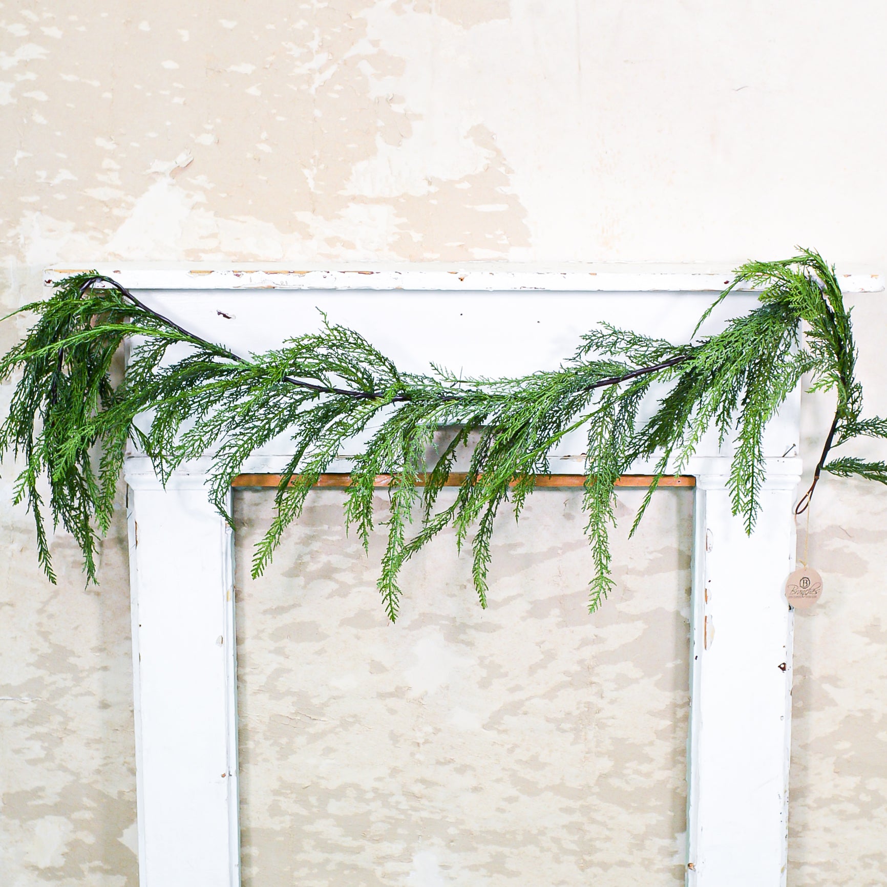 6 ft. Garland Cedar