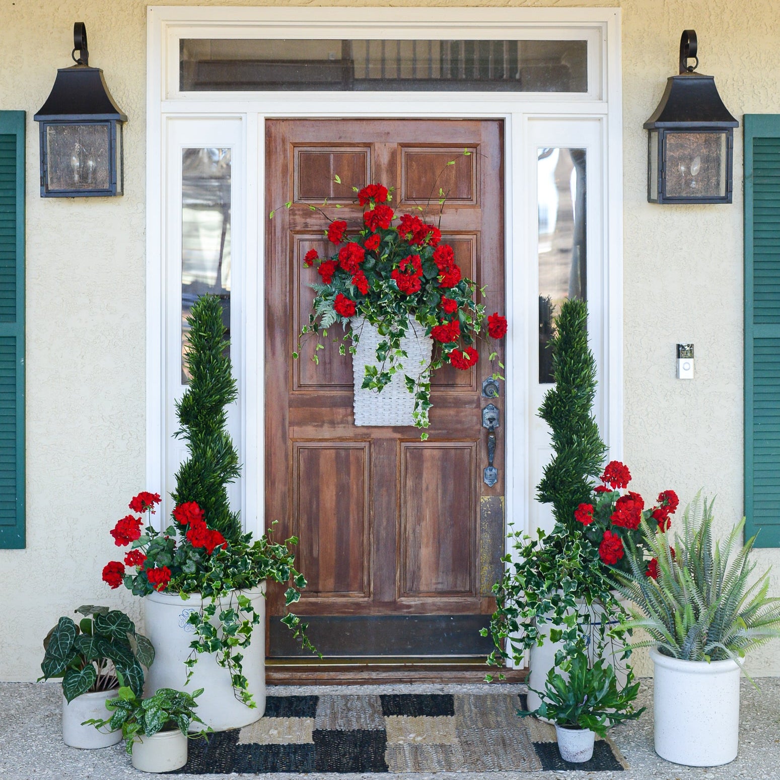 Red Geranium Bush Stem with Nine Blooms