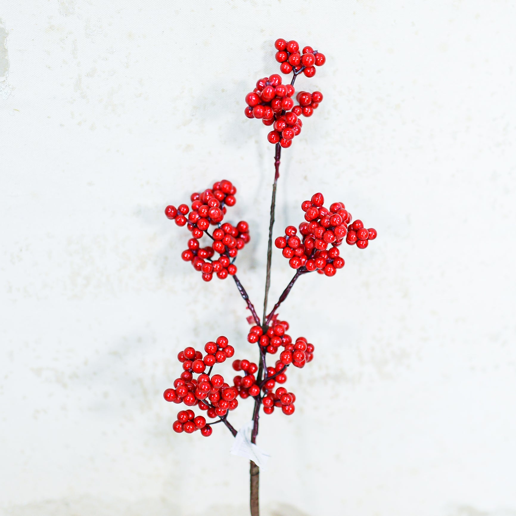 Red Berry Pick Weather Resistant