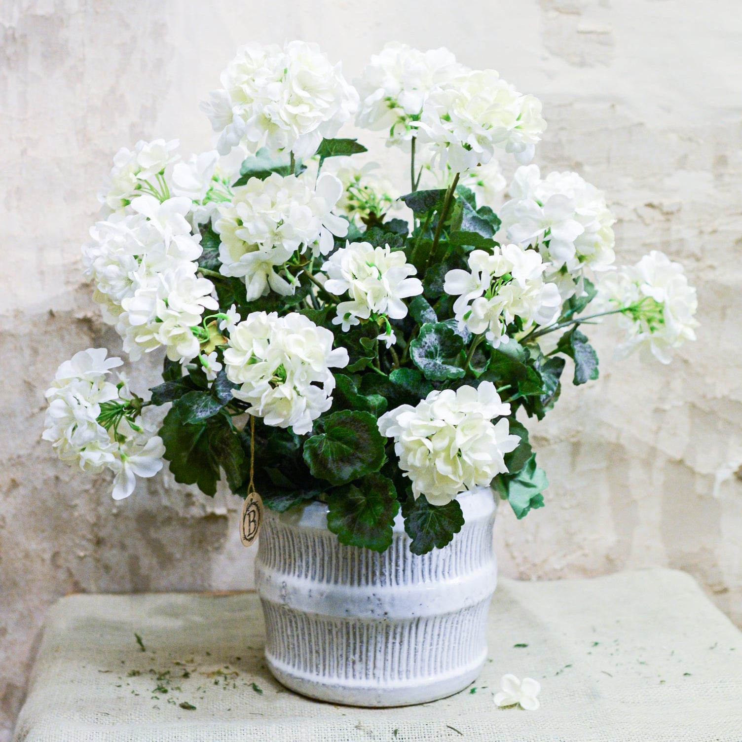 Double White Geranium Moss Pot Drop In