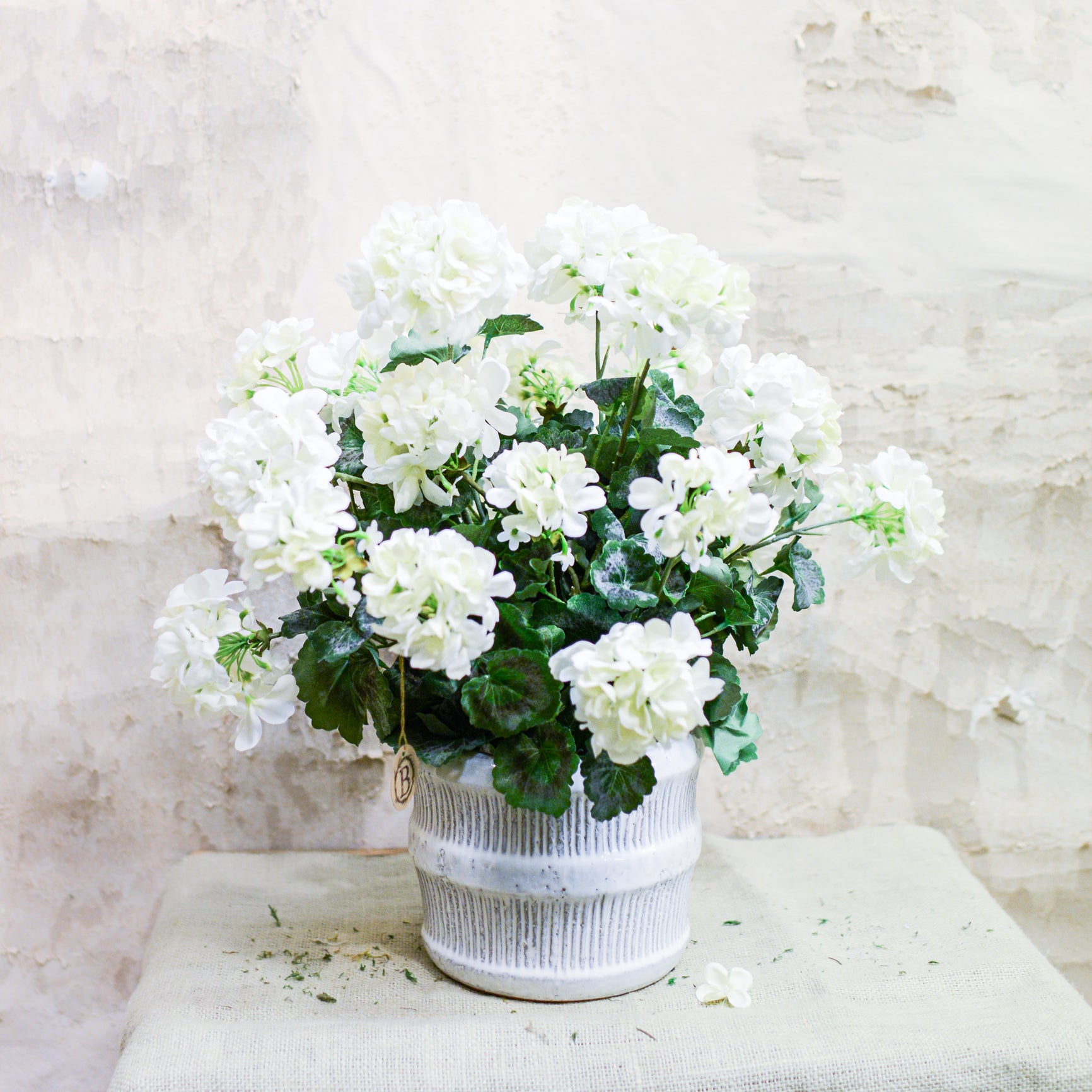 Double White Geranium Moss Pot Drop In