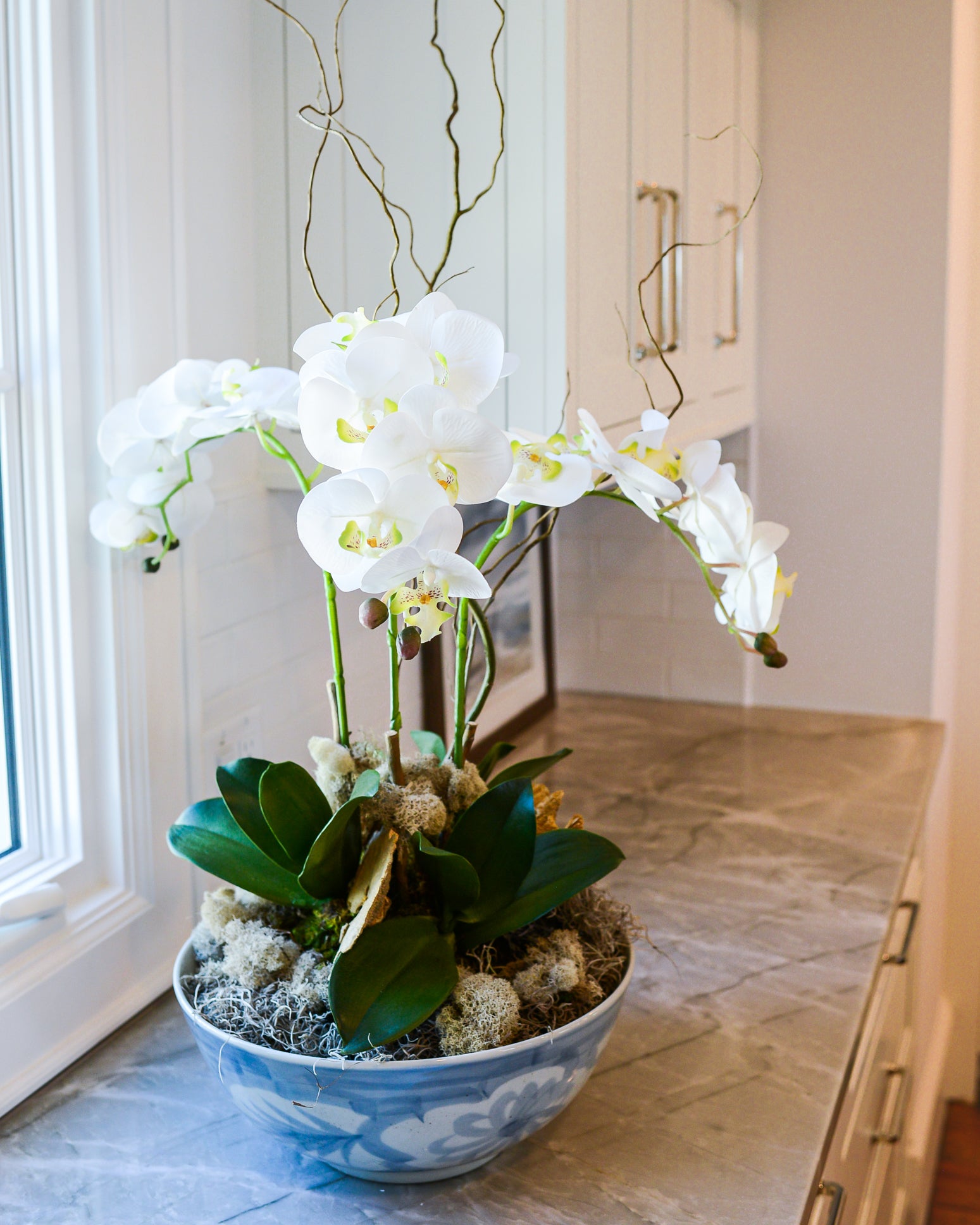 Triple White Phalaenopsis Orchid Drop In