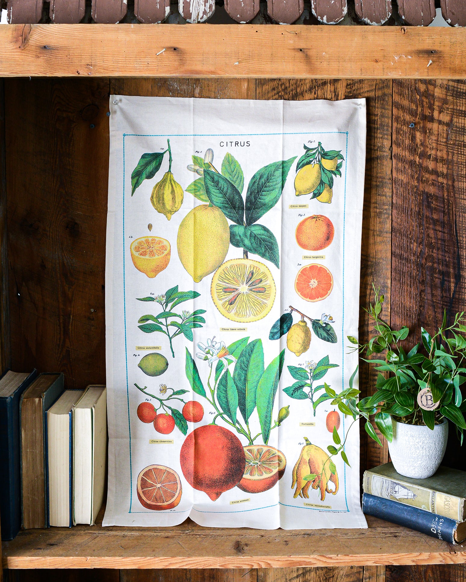Citrus Fruits Vintage Tea Towel