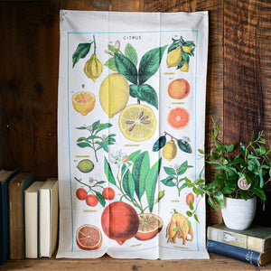 Citrus Fruits Vintage Tea Towel