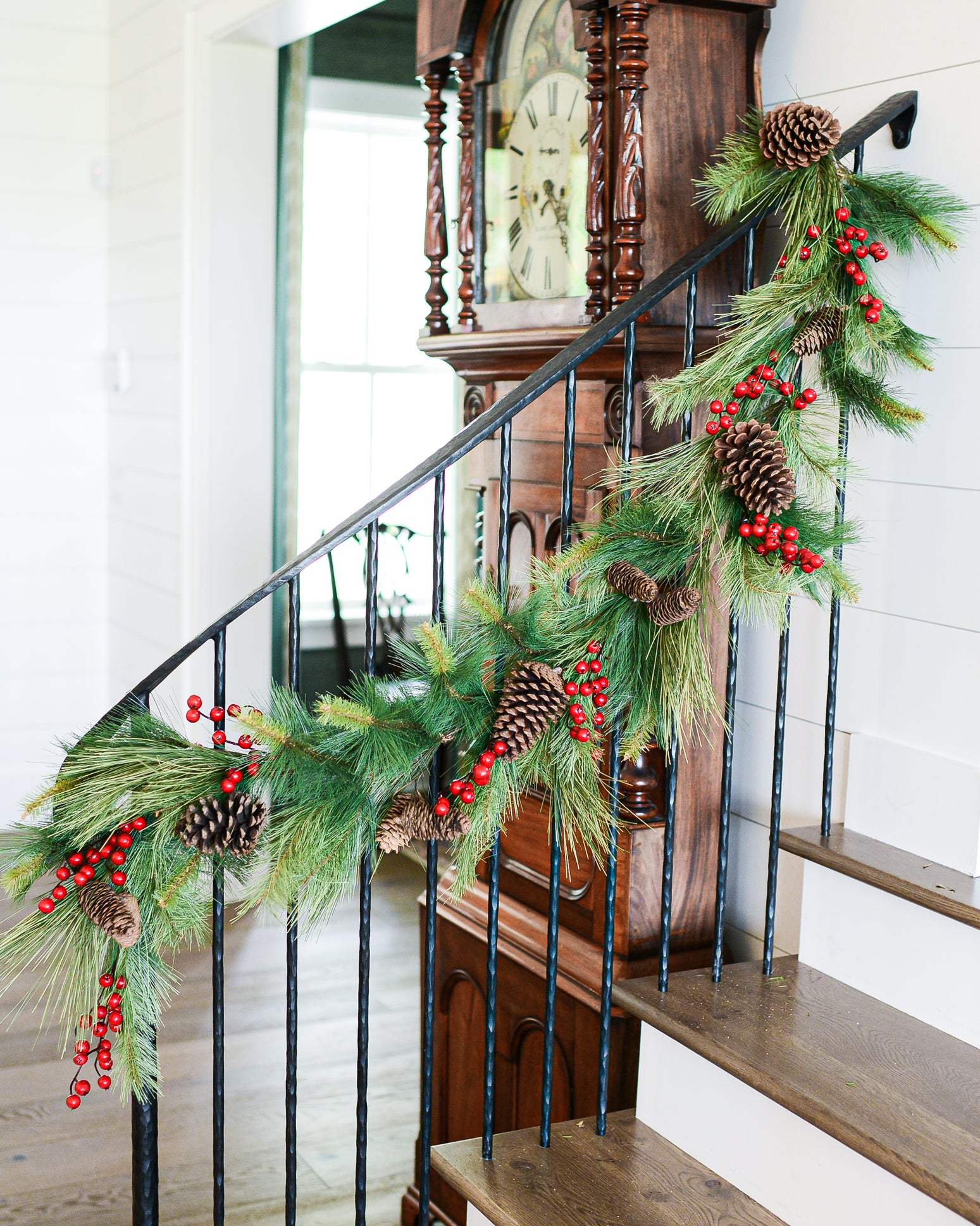 6 ft. Adirondack Pine Garland