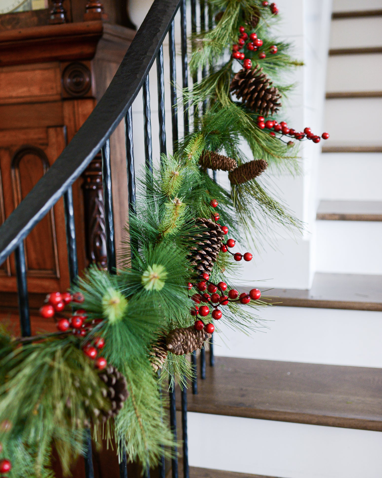 6 ft. Adirondack Pine Garland