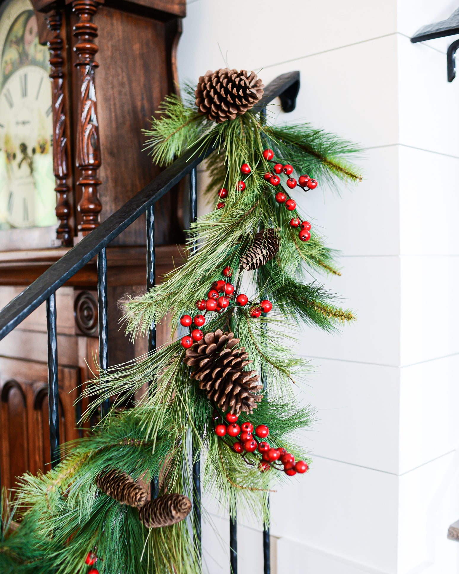 6 ft. Adirondack Pine Garland