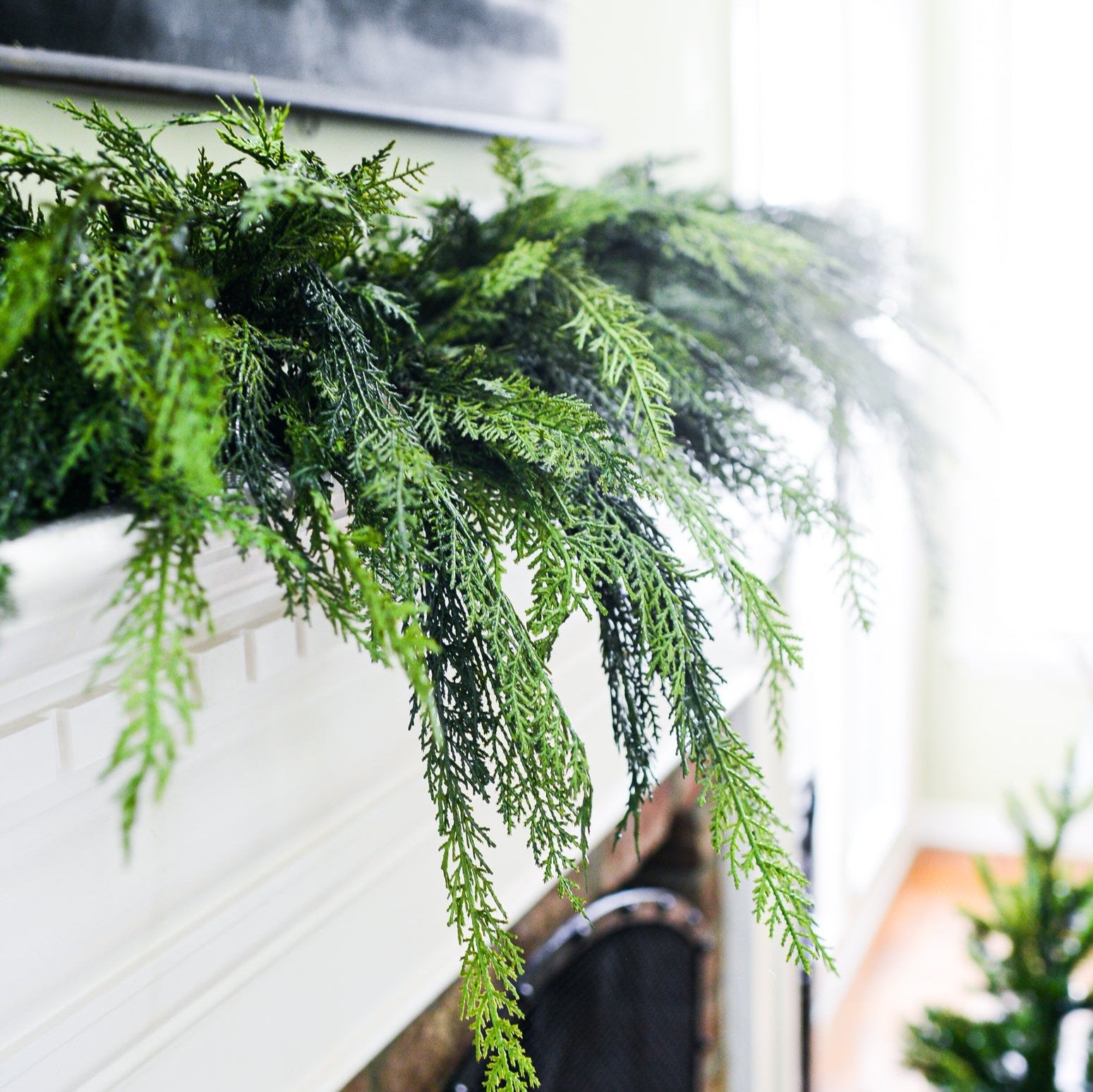 8 ft. Oversized Cedar Swag