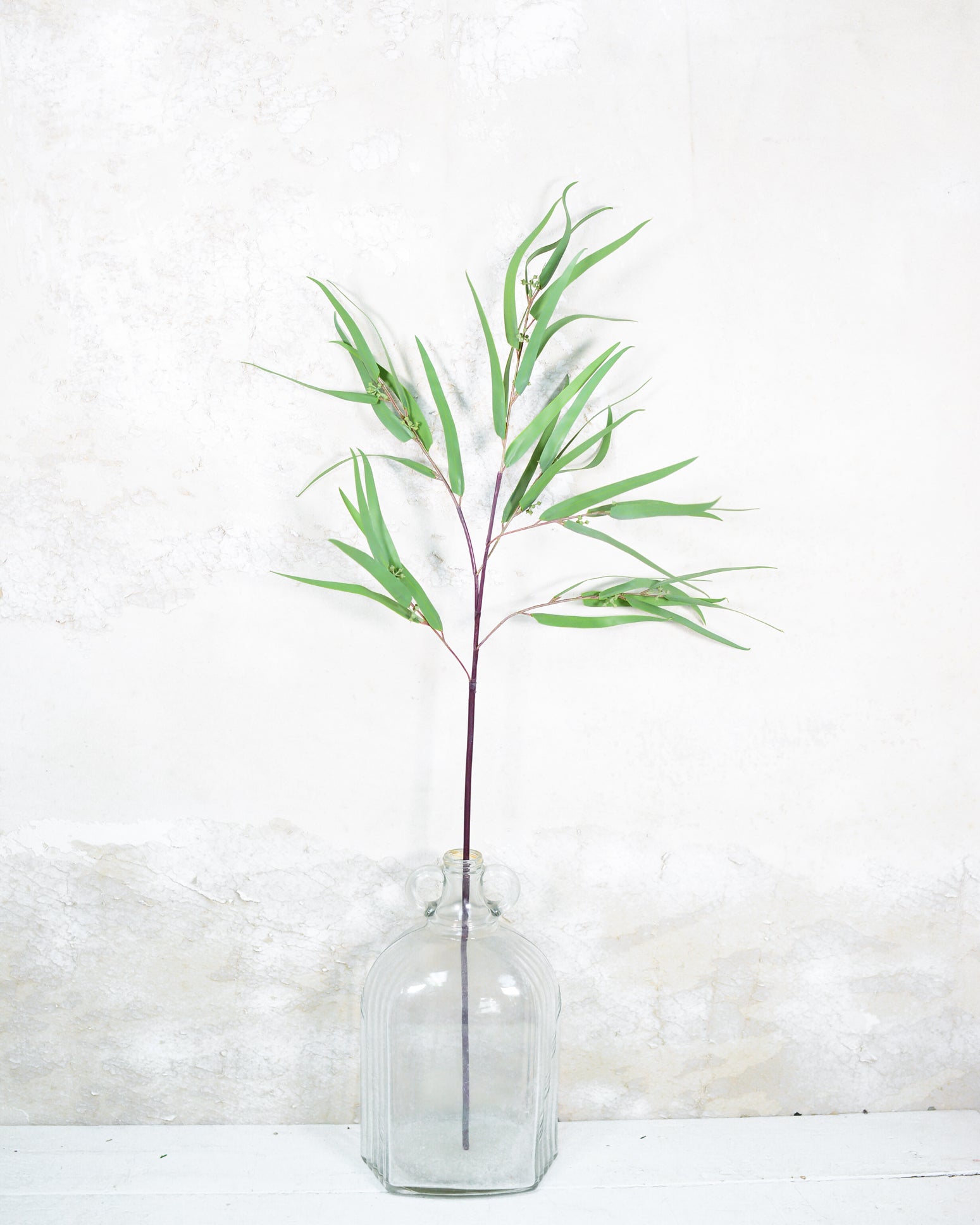 Seeded Needle Eucalyptus Spray Stem