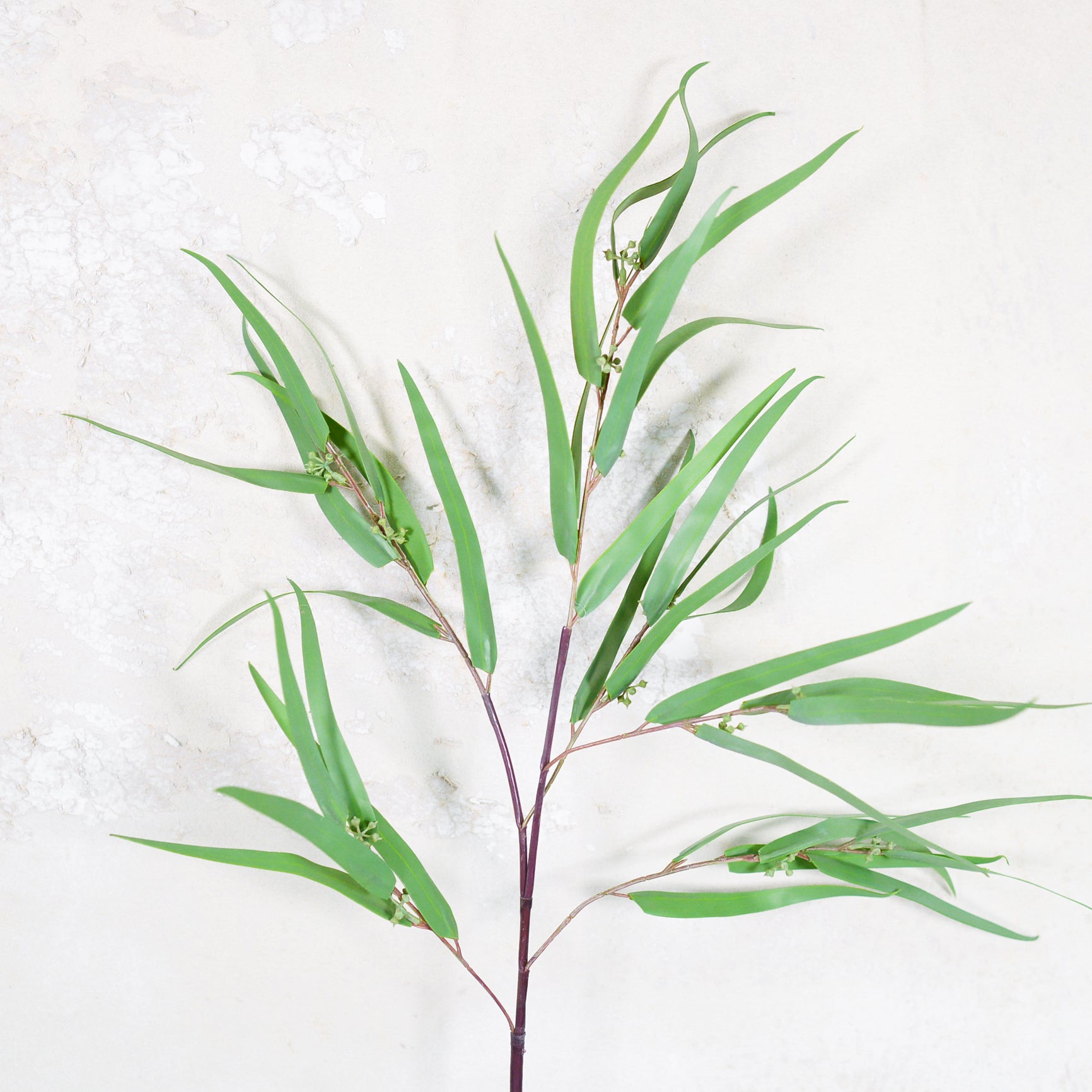 Seeded Needle Eucalyptus Spray Stem