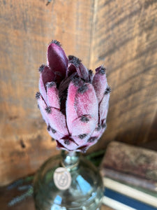 Protea Stem Dark Pink
