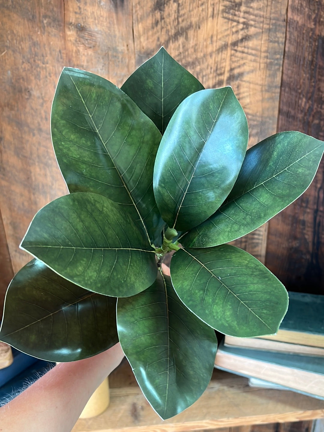 Magnolia Leaf Pick Stem