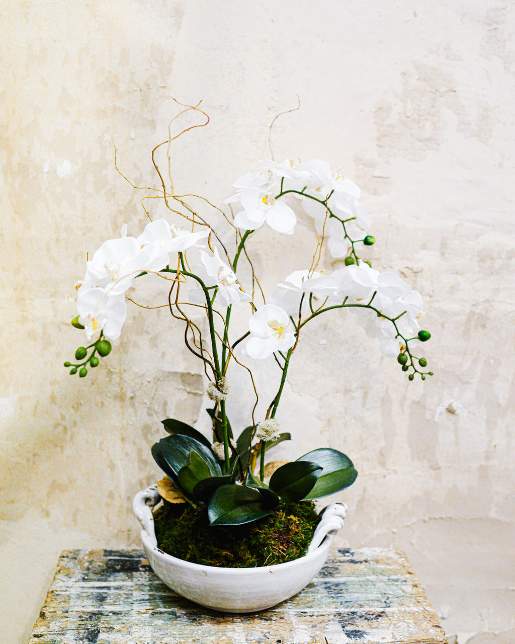 Triple White Phalaenopsis Orchid Drop In