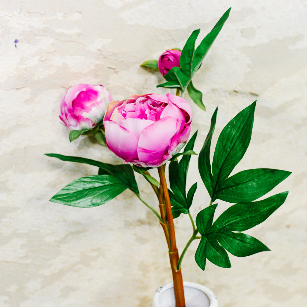 Just Cut Peony Bud Spray Stem Pink