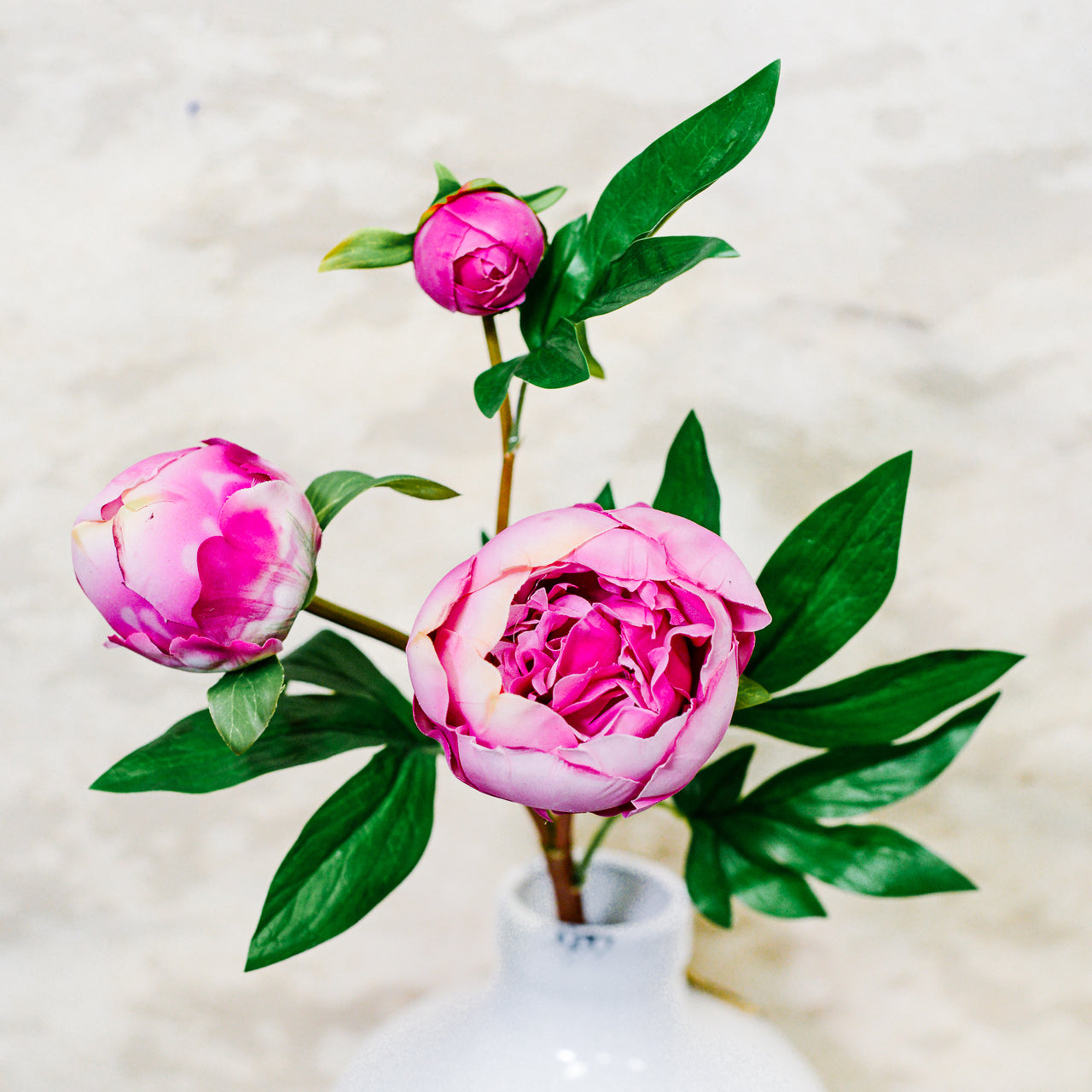 Just Cut Peony Bud Spray Stem Pink