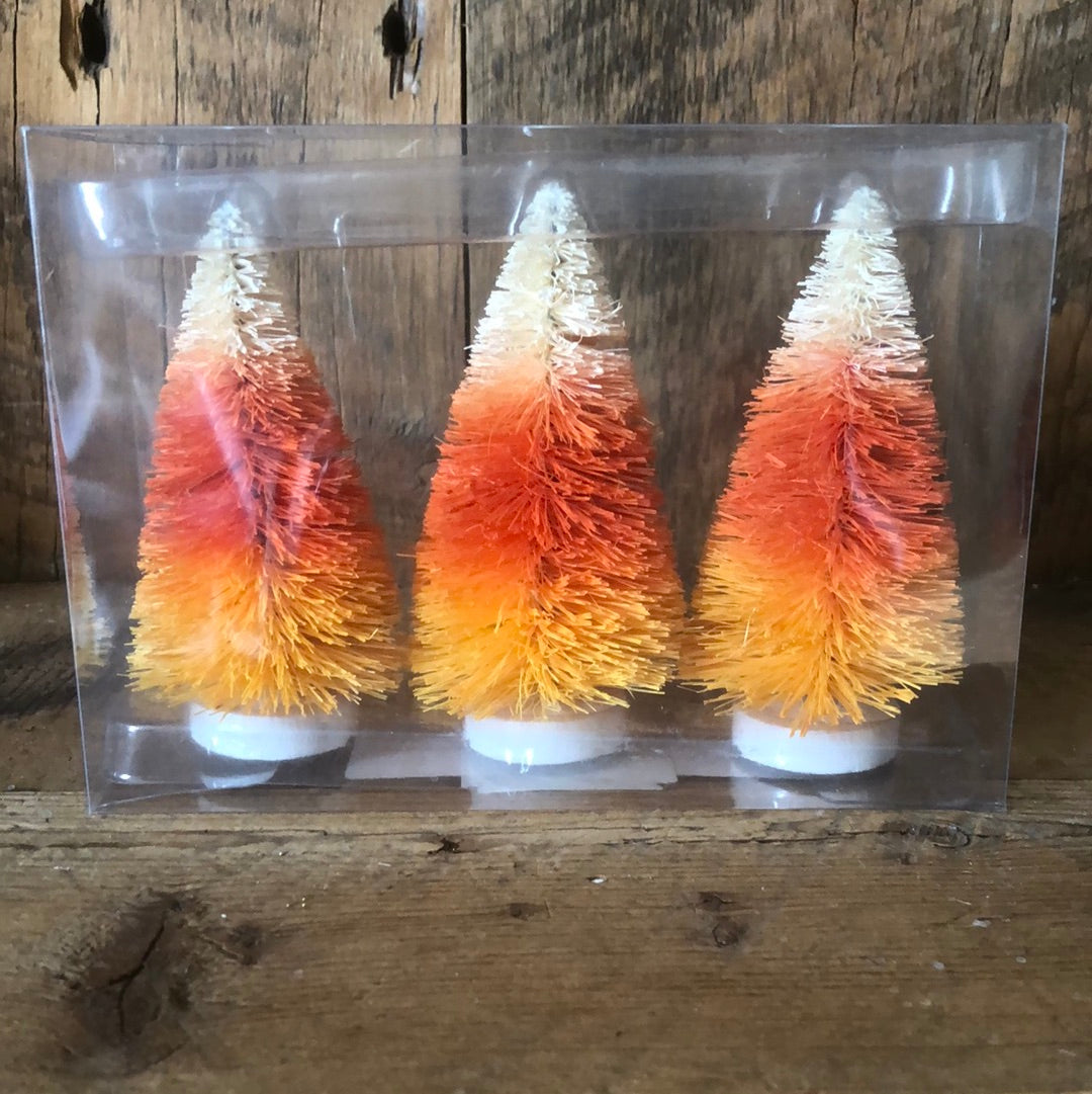 Candy Corn Bottle Brush Trees Box of Three
