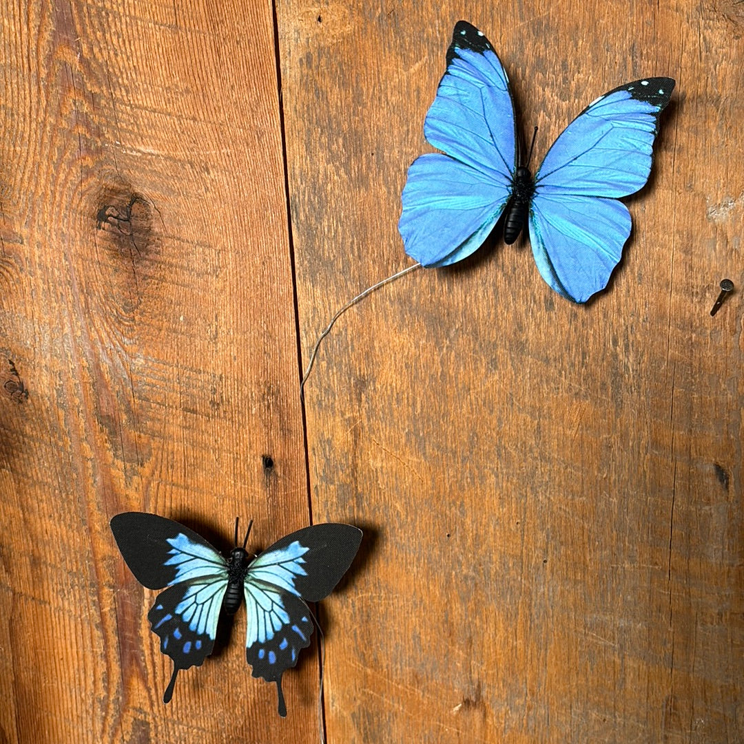 Fabric Blue Butterfly Box of Six