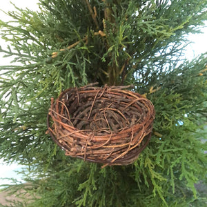 Bird's Nest with Metal Pick Small