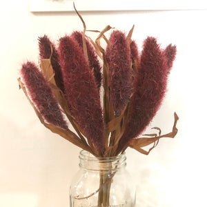 Tassel Weed Burgundy Bundle