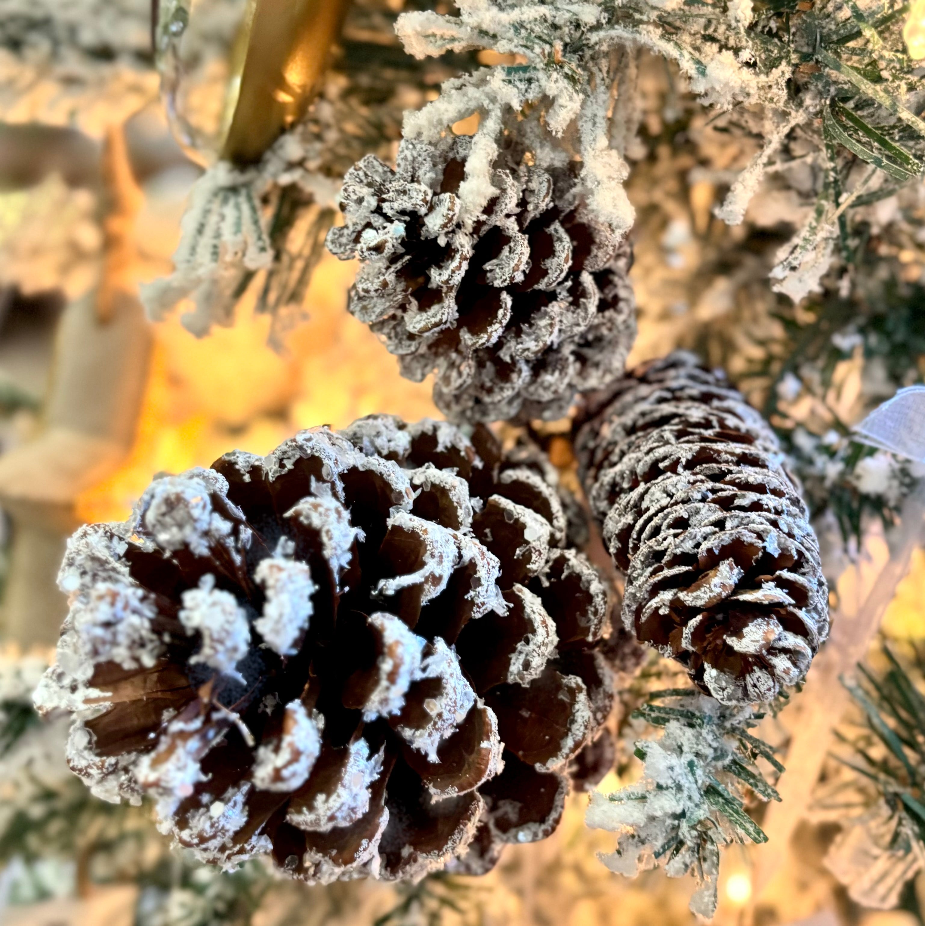 Frosted Mixed Pinecone Pick Three Cones