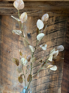 Weathered Harvest Eucalyptus Spray Mustard