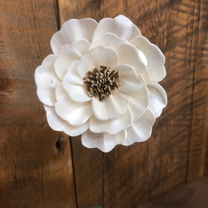 Wood Anemone White Sola Flower