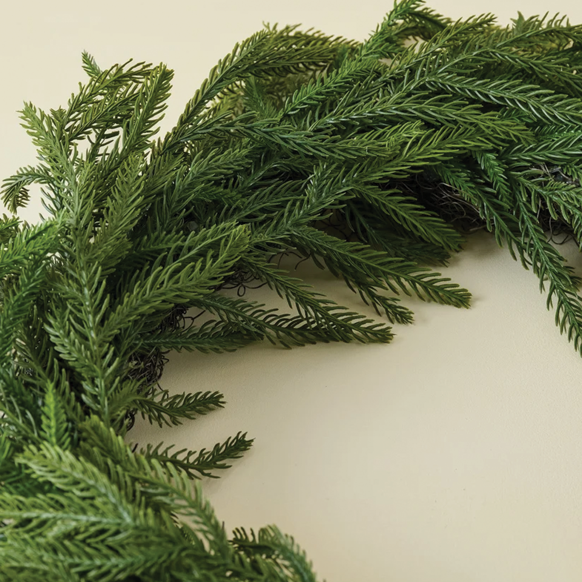 24"D Norfolk Pine Wreath Soft Touch