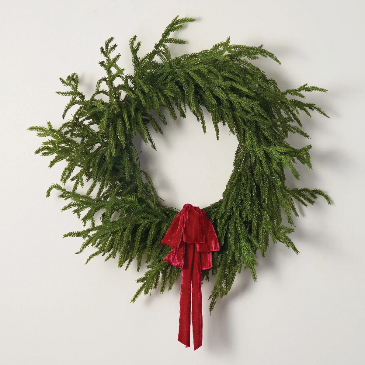 24"D Norfolk Pine Wreath Soft Touch