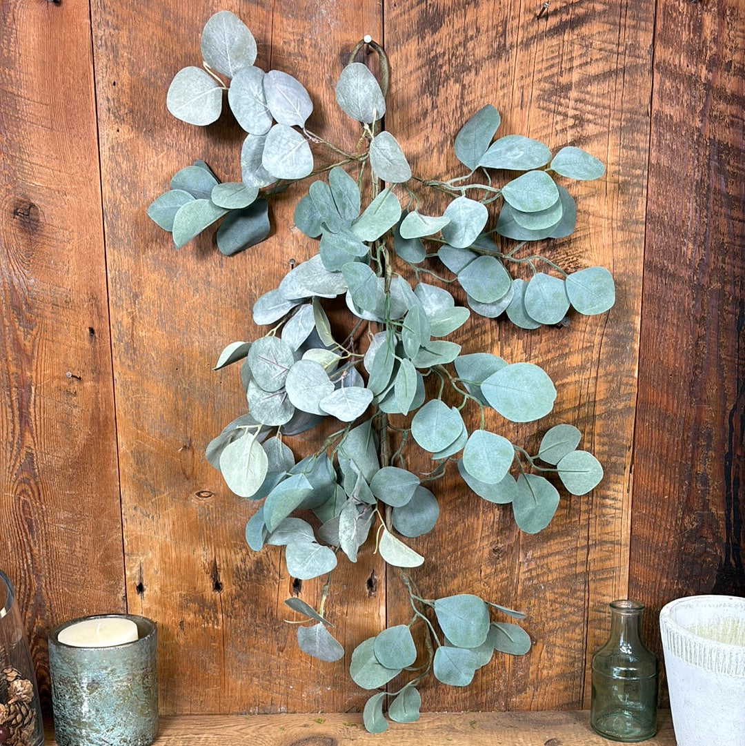 Silver Dollar Eucalyptus Teardrop