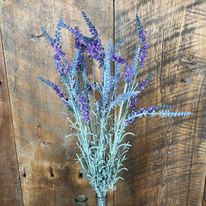 English Lavender Bush