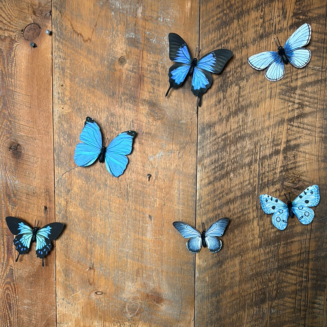 Fabric Blue Butterfly Box of Six