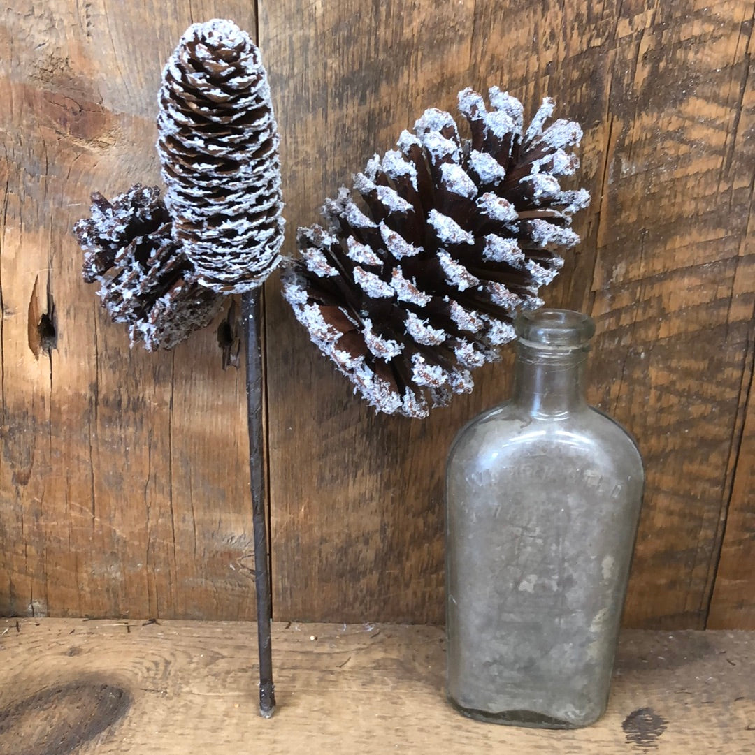 Frosted Mixed Pinecone Pick Three Cones