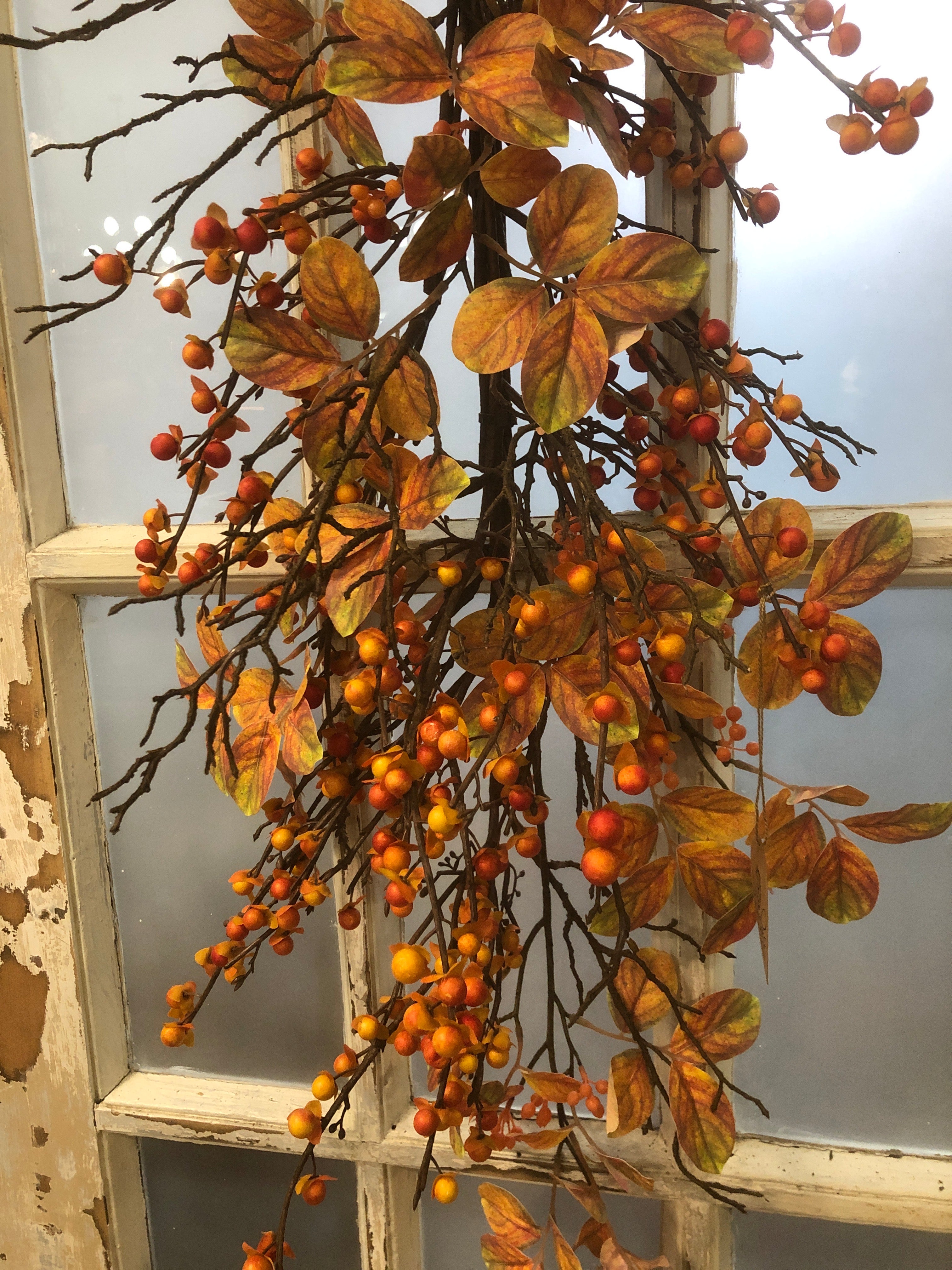 Bittersweet Autumn Down Drop