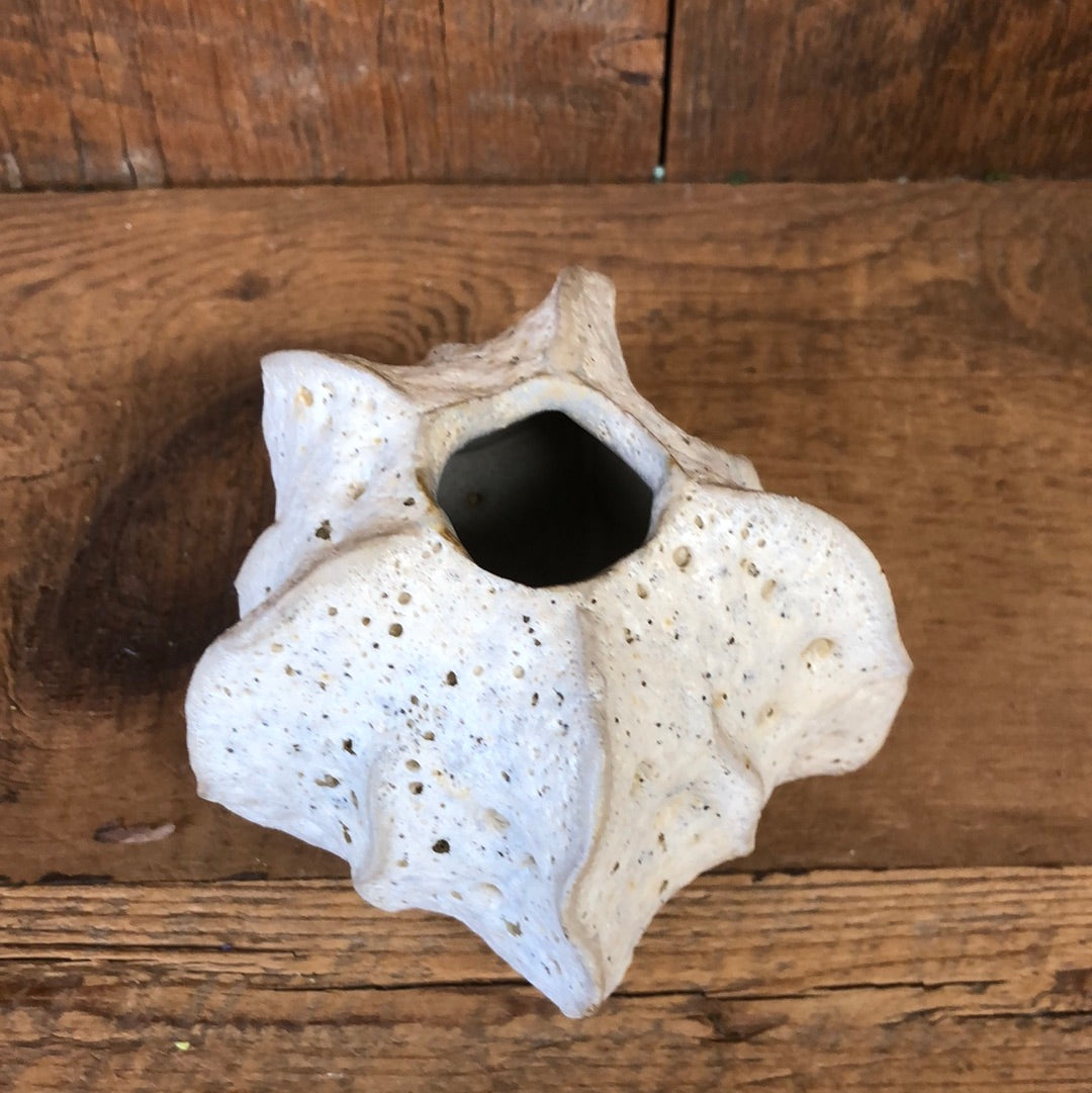 Luffa Small Vase Sand