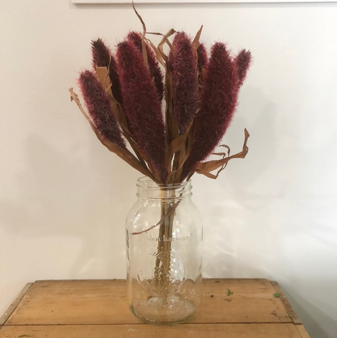 Tassel Weed Burgundy Bundle
