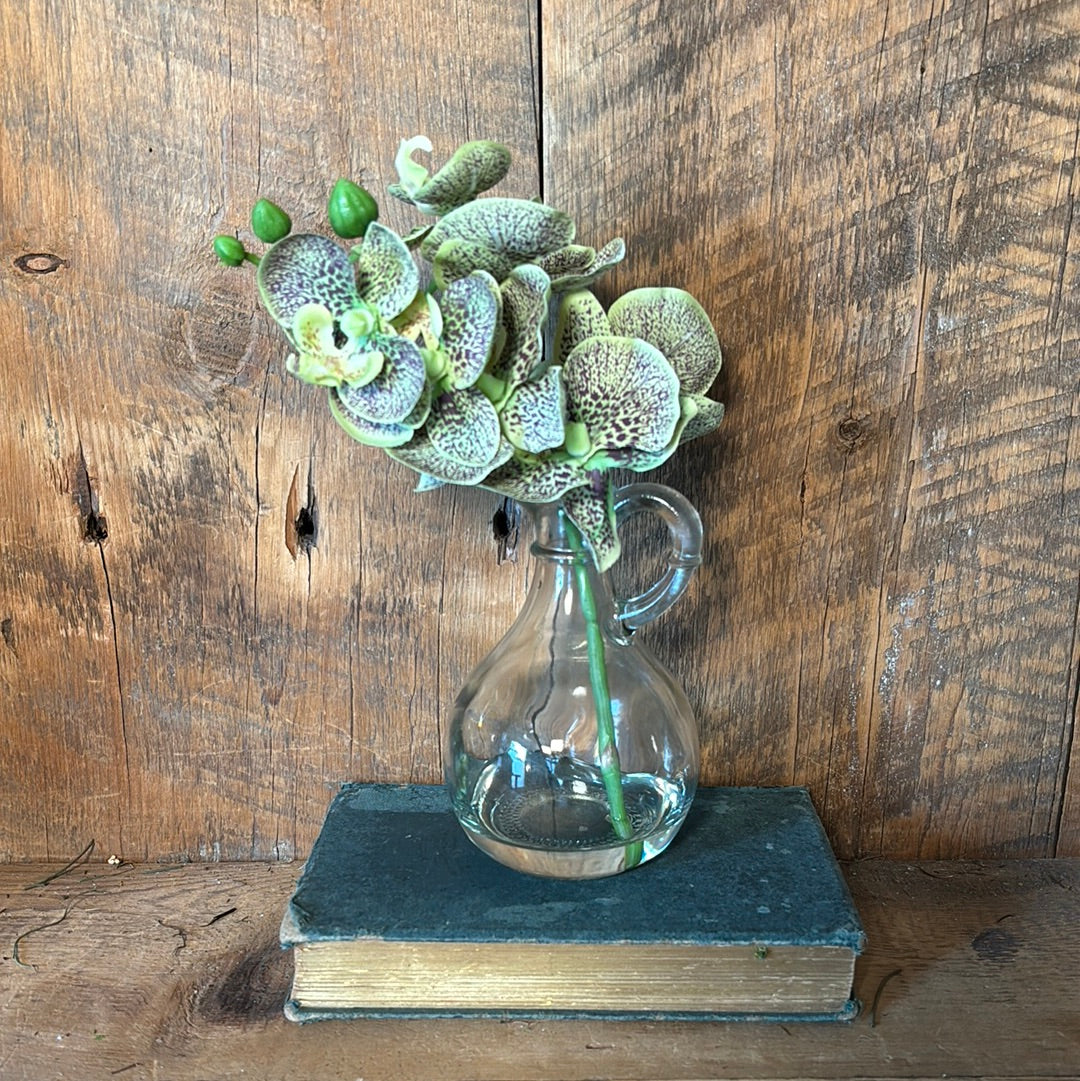 Phalaenopsis Green in Glass with Handle