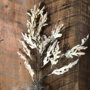 Dried Parchment Oak Leaf Spray
