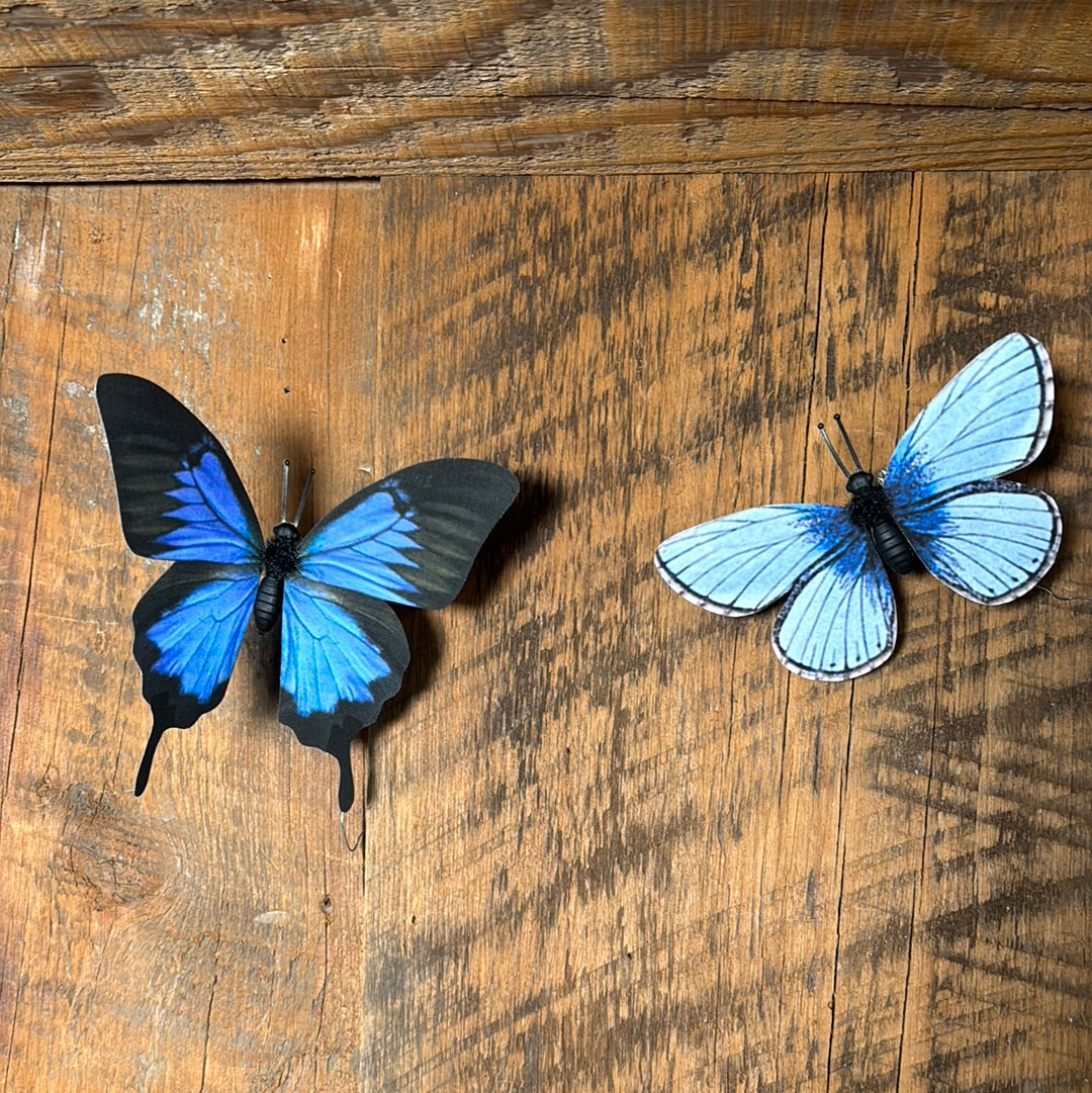 Fabric Blue Butterfly Box of Six