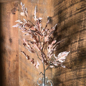Dried Wine Oak Leaf Spray