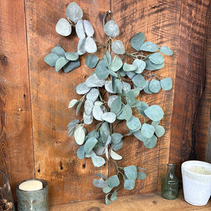 Silver Dollar Eucalyptus Teardrop