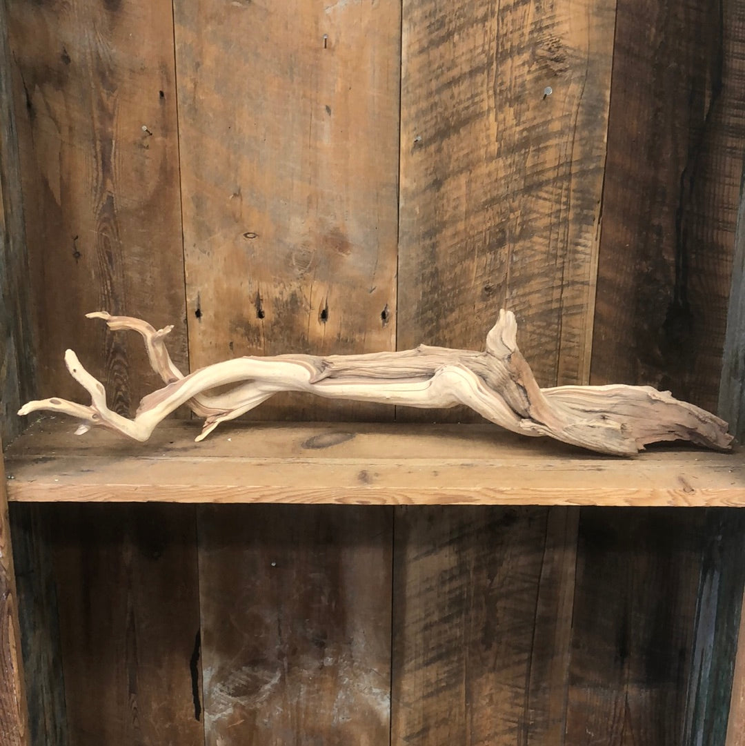 Ghostwood Manzanita Branch Large