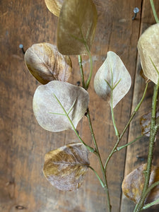 Weathered Harvest Eucalyptus Spray Mustard