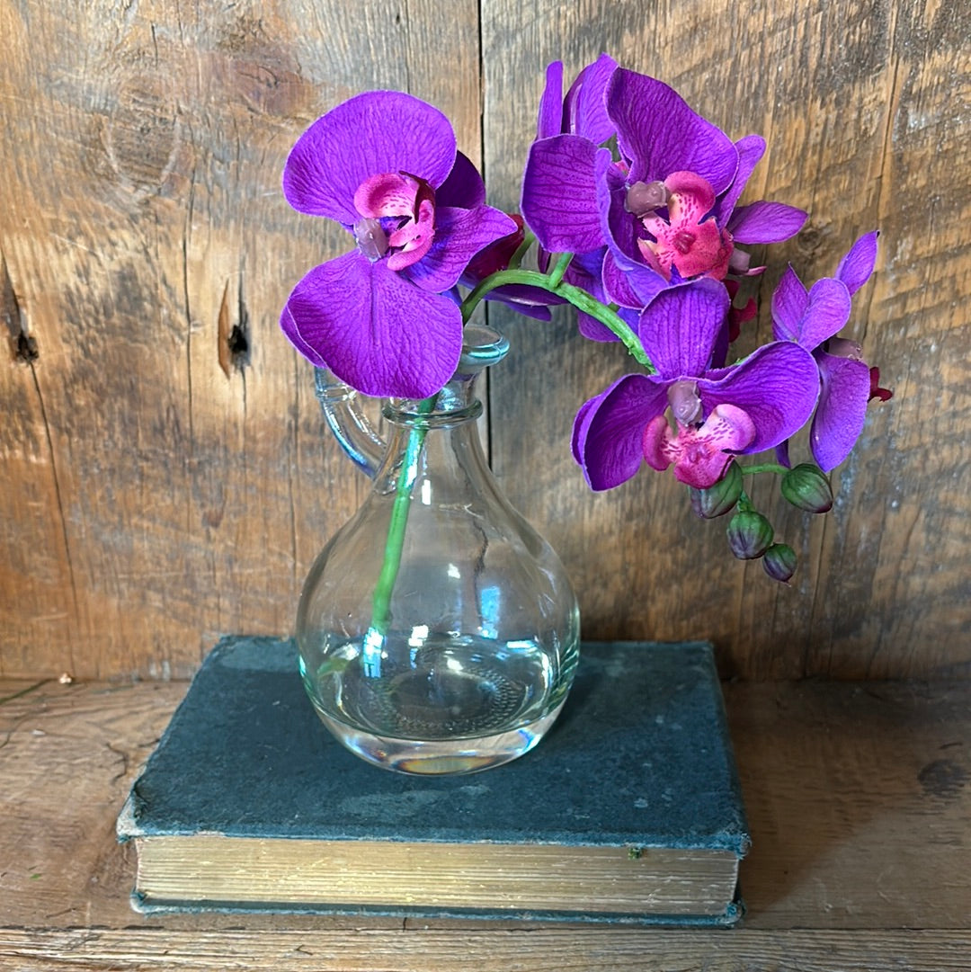 Phalaenopsis Dark Purple in Glass with Handle