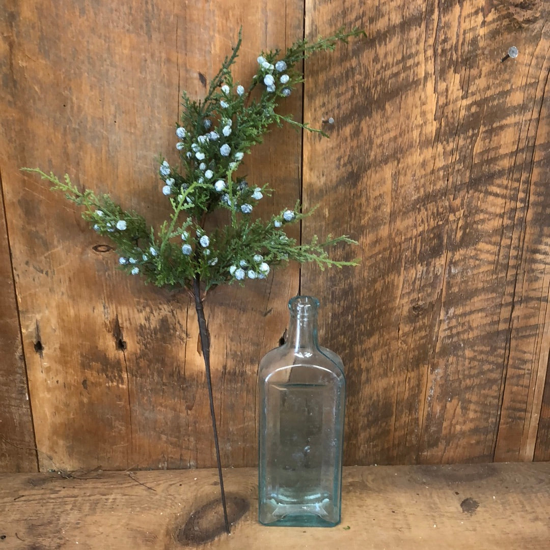 Juniper Spray with Berries