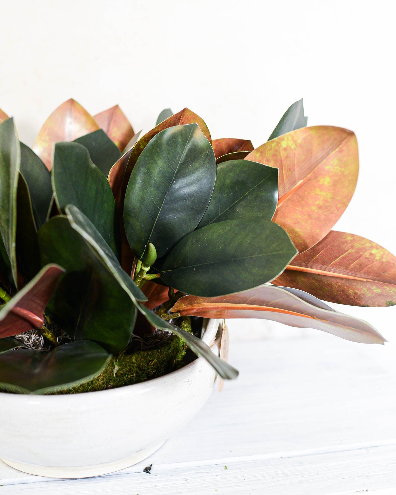 Magnolia Leaf Greenery Centerpiece Drop-In