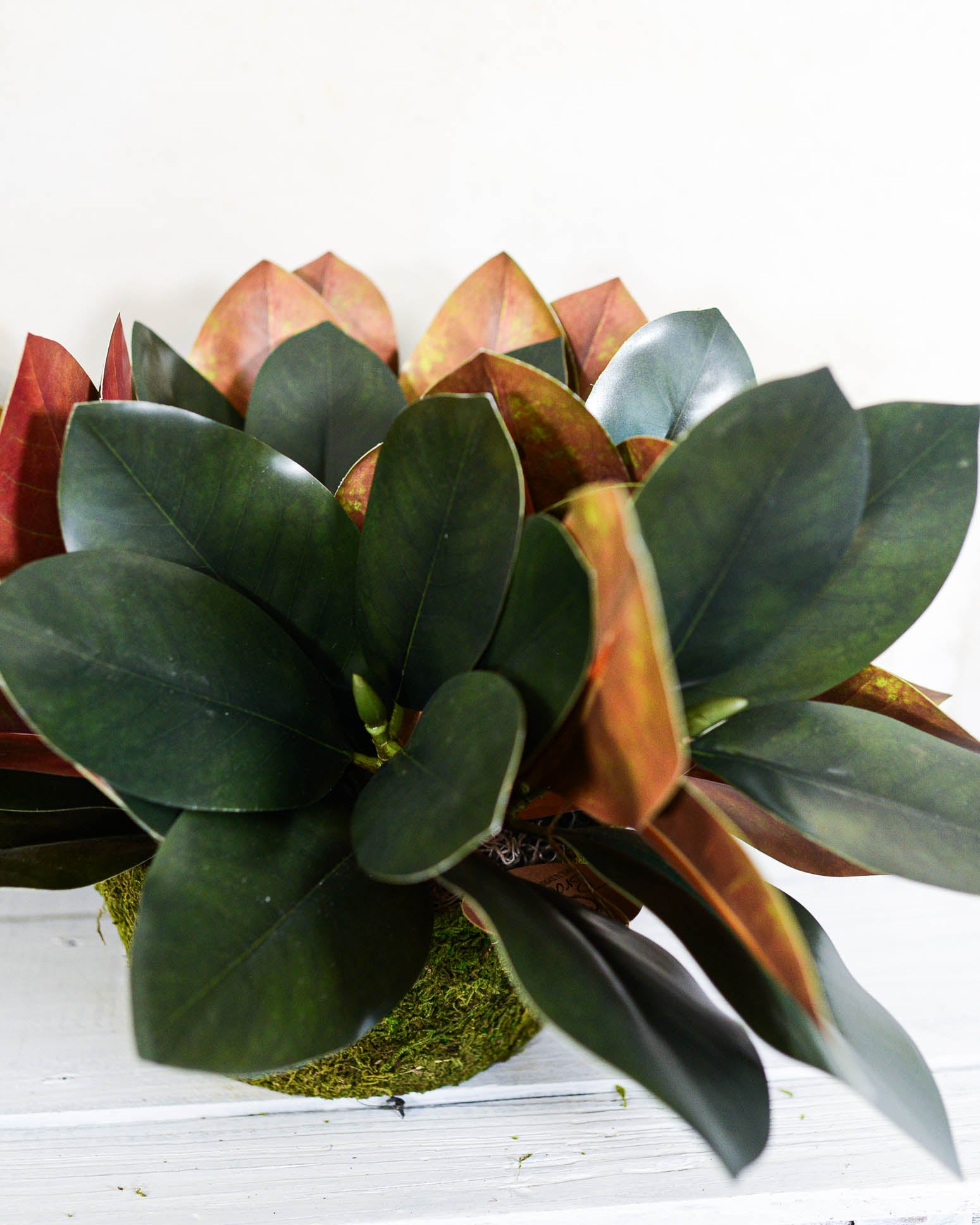 Magnolia Leaf Greenery Centerpiece Drop-In